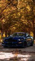 Ford Mustang Duvar Kağıtları Ekran Görüntüsü 1