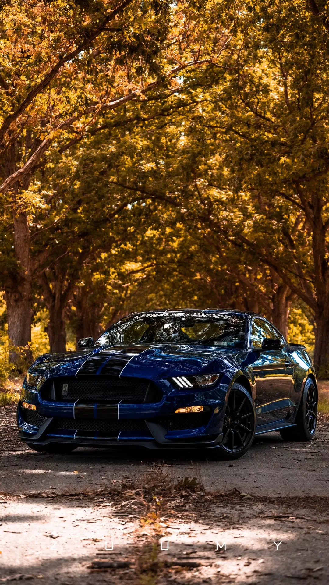 Ford Mustang Wallpapers APK for Android Download Ford Mustang Wallpapers APK for Android Download