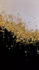 Golden Display Wallpapers XAPK download