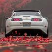 Carros japoneses