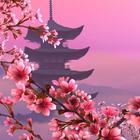 日本の桜の壁紙 アイコン