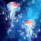 Tapety meduzy
