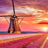 Windmolens in Nederland