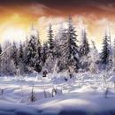 Winter Wallpapers APK