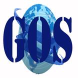 ”Global Online Solution