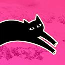 Gato Negro Publicidad Express Web APK
