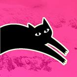 Gato Negro Publicidad Express Web