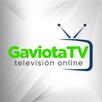 Gaviota Tv APK