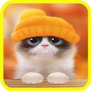 Аватарки для ватсапа крутые APK