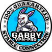GABBY VPN-PRO APK