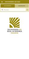 Dicionario RAG постер