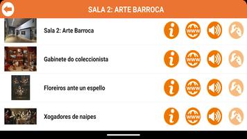 Museo Belas Artes da Coruña स्क्रीनशॉट 3