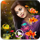 Photo Aquarium Video Creator-APK