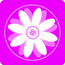 Gallery - Photo & Video Editor APK