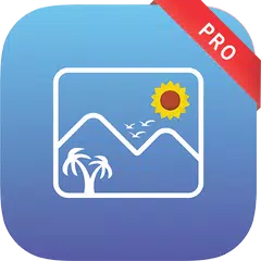 Gallery No Ads- Photo Manager, Gallery 2020 XAPK 下載