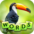 Words and Animals - Crosswords