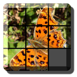 Slide Puzzle أيقونة
