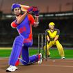 Bat & Ball: Play Cricket Games