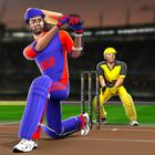 Bat & Ball: Play Cricket Games أيقونة