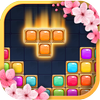 Blockie - Block Puzzle 2019: New Jewel Puzzle MOD