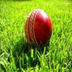 Howzat Cricket 2D APK