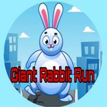 Giant Rabbit Run