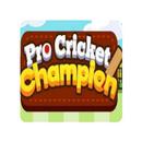 APK Cricket game