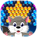 Raccoon Pop