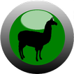 Juego de naipes - CochaBamba icono