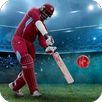 CCP - Cricket Cup Play APK