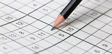 Sudoku Brain Puzzle Challenge