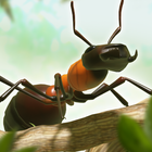 آیکون‌ Ant War