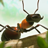 Ant War - Kingdom Battles
