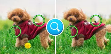 Differences：找出並發現所有差異
