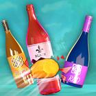 PRO Bottle Shooting Games: Idle Stone Smash Master icon