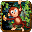 Singe aventure Run