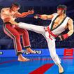 Beat EM Up Fight: Karate Game