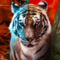 Animal Clash