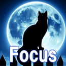 Cat Beats Focus APK