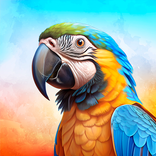 Bird Translator Game