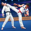 Karate Fighting Kung Fu Game APK