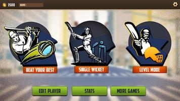 T20 Street Cricket Game ảnh chụp màn hình 3