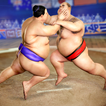 Sumo Wrestling Fighters: Grand tournoi de Sumotori