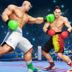 World Punch Boxing Games: Mega Fighting Champion APK