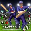 World Cricket Cup Tournament