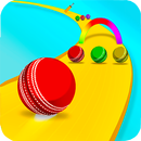 Cricket Ball Twist : Rainbow Color APK