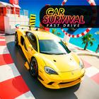 Car Survival Fast Drive 3d ícone