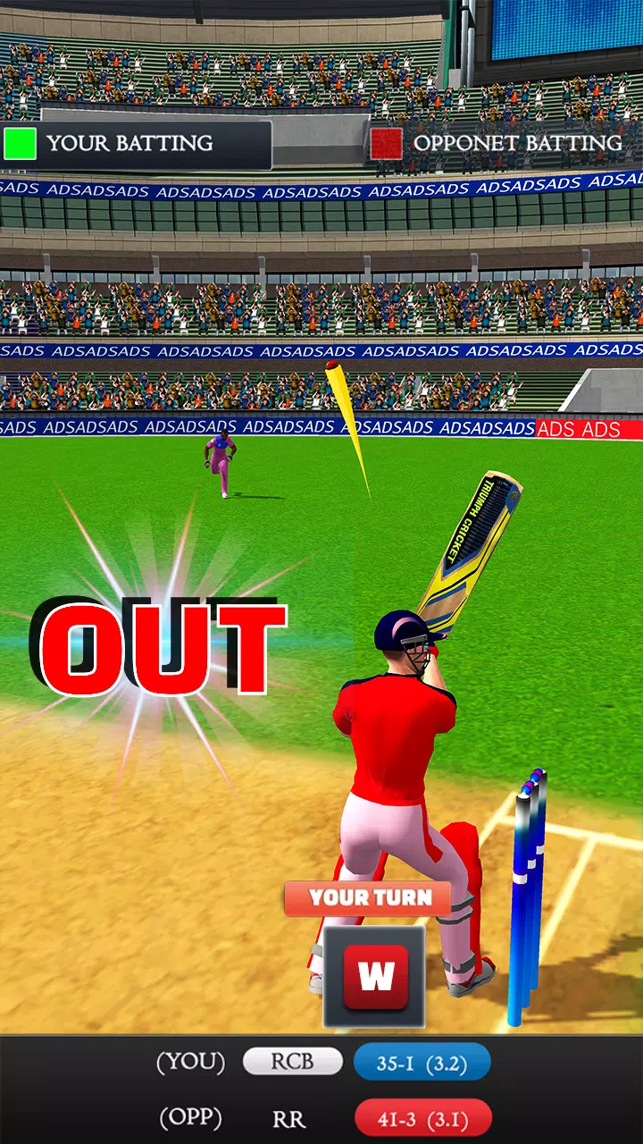 Indian Premier Ludo Cricket