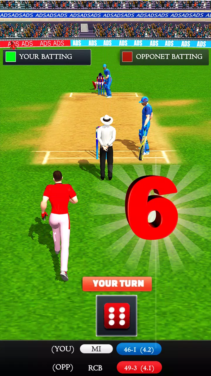 Indian Premier Ludo Cricket