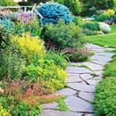 Garden Paths APK